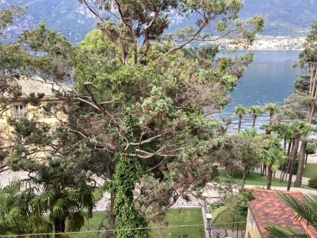Wonderful Lake Front Appartment Near Bellagio Limonta Buitenkant foto